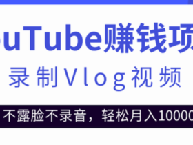 录制vlog视频发布到YouTube，不要脸不录音，轻松月入10000+