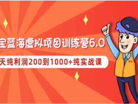 淘宝蓝海虚拟项目陪跑训练营6.0  每天纯利润200~1000+纯实战课